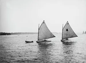 Johnston Js Prints: D.B.C.Y. [Detroit Boat Club yacht] regatta