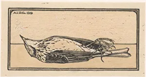 Dead Animal Prints: Dead bird, 1919. Creator: Julie de Graag