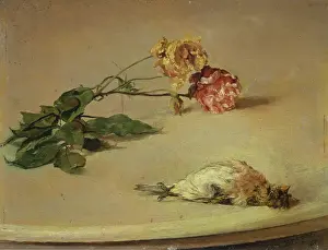 1882 Prints: Dead Bird and Two Roses on a Table Board, 1882. Creator: Louis Eysen