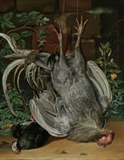 Rooster Prints: Dead Birds, 1735. Creator: Anton Friedrich Harms