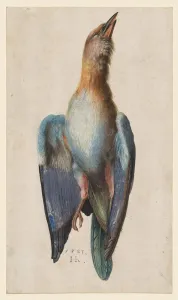 Dead Blue Roller, 1583. Creator: Hans Hoffmann (German, 1545 / 50-1591 / 92)