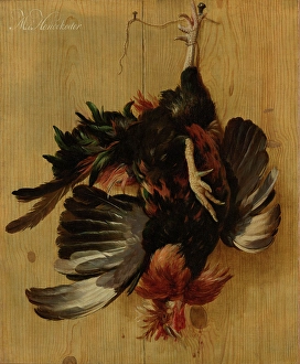 Rooster Prints: Dead Cock Hanging from a Nail, 1670. Creator: Melchior d'Hondecoeter