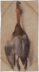 Albrecht 1471 1528 Prints: Dead Duck, ca 1502 (or ca 1512). Creator: Dürer, Albrecht (1471-1528)