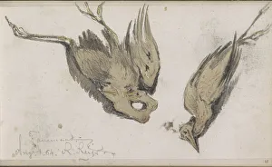 Heron Prints: Dead Heron, 1864. Creator: Johannes Tavenraat