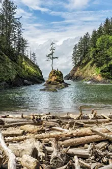 Pacific North West Prints: Dead Man's Cove. Creator: Joshua Johnston