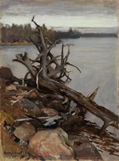 Dead Pine in the Water, 1898. Creator: Eero Jarnefelt