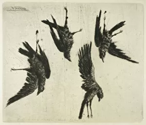 Fallen Gallery: The Four Dead Ravens, c. 1888. Creator: Henri-Charles Guerard