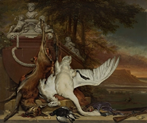 Dead Animal Prints: Dead Swan. Creator: Jan Weenix