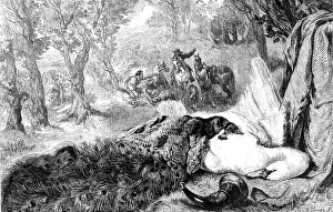 Peacock Feather Prints: Dead Swan and Peacock, by the late W