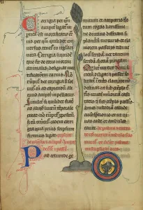 Bestiary Prints: A Dead Turtle Dove in a Nest; De Natura Avium; De Pastoribus et Ovibus