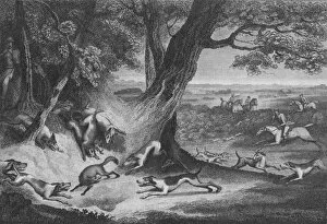 Foxhounds Collection: Death of the Fox, 1793. Creator: Thomas Cook