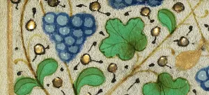Floral Motif Prints: Decorated Border with Grapes; Boethius