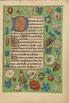 Tempera Colours And Gold Prints: Decorated Initial D; Crohin-La Fontaine Hours, (about 1480-1485?). Creator: Unknown