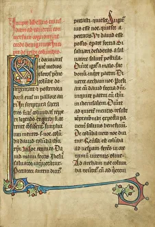 Bestiary Prints: Decorated Initial S; De Natura Avium; De Pastoribus et Ovibus; Bestiarium
