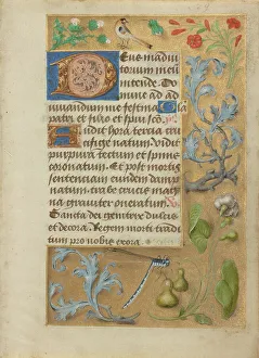 Detached Leaf Prints: Decorated Text Page; Book of Hours, about 1480-1490. Creator: Unknown