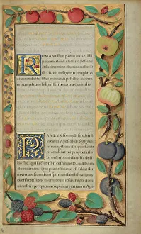 Initial Prints: Decorated Text Page; Getty Epistles, about 1528-1530. Creator: Unknown