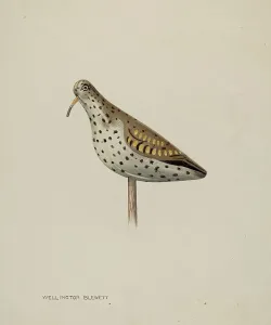 Decoy Prints: Decoy, c. 1939. Creator: Wellington Blewett