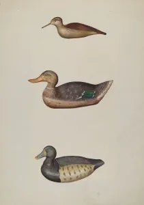 Harriette Gale Prints: Three Decoy Ducks, c. 1937. Creator: Harriette Gale