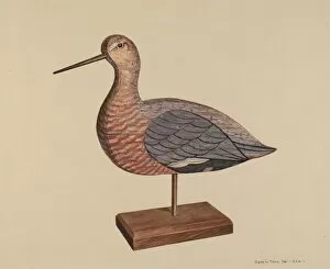 Wading Bird Gallery: Decoy (Hudsonian Godwit), c. 1939. Creator: Samuel W. Ford