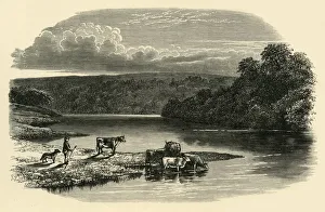 River Dee Gallery: On the Dee, c1890. Creator: Unknown