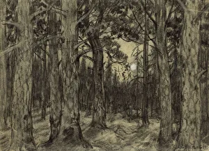 Yenisey Siberia Russia Prints: Deep in the Woods of the Krasnoyarsk Taiga, 1904. Creator: Boris Vasilievich Smirnov