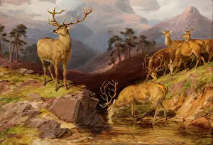 Behaviour Prints: Deer, 1854. Creator: James William Giles