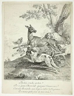 Catching Prints: Deer Attacked by Dogs, 1725. Creator: Jean-Baptiste Oudry