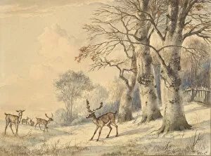 Stag Gallery: Deer under Beech Trees in Summer, 1853. Creator: Hendrik Gerrit ten Cate