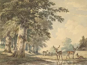 Stag Gallery: Deer under Beech Trees in Winter, 1853. Creator: Hendrik Gerrit ten Cate
