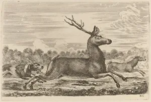 Deer Hunting Prints: Deer Chased by Two Dogs to the Left. Creator: Stefano della Bella