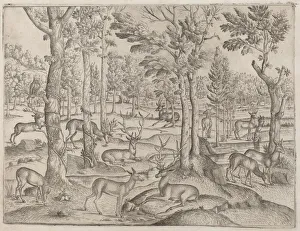 Deer Hunting Prints: Deer in the Forest, c. 1520. Creator: Unknown