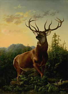 Antler Prints: Deer in forest landscape, 1876. Creator: Alexander Brodszky