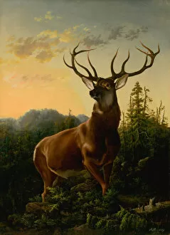 Animals And Birds Collection: Deer in Forest Landscape, 1876. Creator: Brodszky, Sandor (1819-1901)