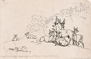 Deer (from Plate 3, Outlines of Figures, Landscapes and Cattle... for the Use of Le