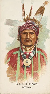 Iowa Prints: Deer Ham, Ioway, from the American Indian Chiefs series (N2) for Allen &amp