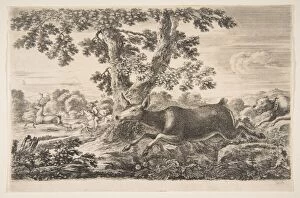 Hunting Dogs Collection: Deer hunt, from Animal hunts (Chasses adifferents animaux), ca. 1654