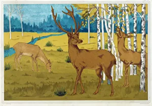Deer, from L Animal dans la Decoration, pub. 1897. Creator: Maurice Pillard Verneuil