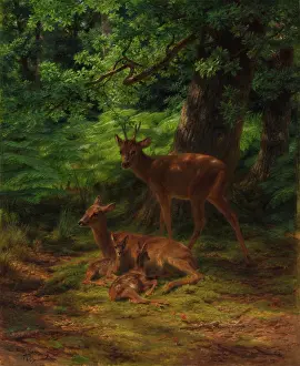 Cyathea Prints: Deer in Repose, 1867. Creator: Rosa Bonheur