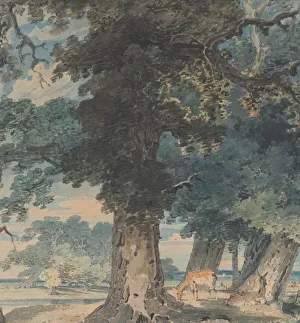 Girtin Thomas Prints: Deer in Windsor Forest, 1793-94. Creator: Thomas Girtin