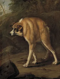 Sadness Prints: Deformed dog, 1690. Creator: David Klocker Ehrenstrahl