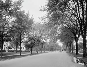 Residential Street Prints: Delaware Avenue, Buffalo, N.Y. c.between 1910 and 1920. Creator: Unknown