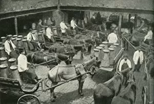 Depot Gallery: Delivery Vans Starting from Messrs, Freeth and Pococks Central Depot at Vauxhall, 1902