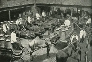 Delivery Vans Starting from Messrs, Freeth and Pococks Central Depot at Vauxhall, 1902