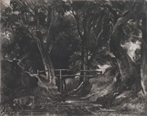 A Dell, Helmingham Park, Suffolk, 1830. Creator: David Lucas