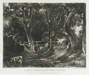 David Lucas Prints: A Dell, Helmingham Park, Suffolk, 1830. Creator: David Lucas