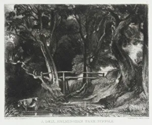 David Lucas Prints: A Dell, Helmingham Park, Suffolk, 1830. Creator: David Lucas