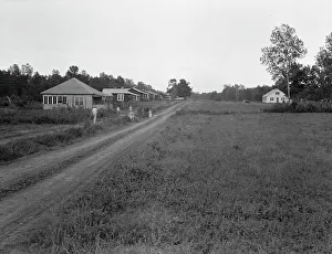 Mississippi United States Of America Prints: Delta cooperative farms in 1938, Hillhouse, Mississippi, 1938. Creator: Dorothea Lange