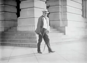 Southerner Prints: Democratic National Convention - Sen