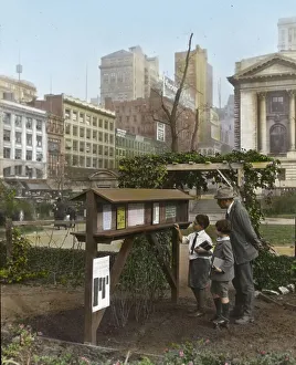Bryant Park Prints: Demonstration garden, Bryant Park