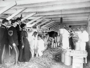 Practical Prints: Demonstration of milk testing in stable